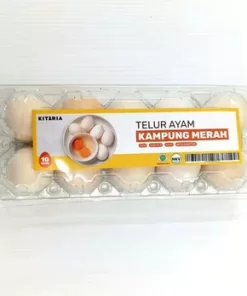 Telur Ayam Kampung OMEGA isi 10 PCS