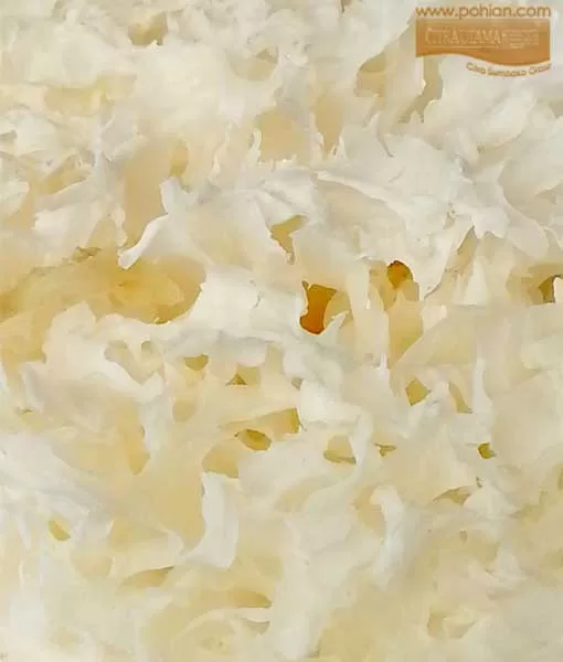 AGEN SEMBAKO GROSIR – Toko Sembako Murah Villa Melati Mas Alam Sutra