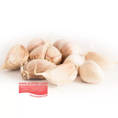 AGEN SEMBAKO GROSIR – Toko Sembako Murah Villa Melati Mas Alam Sutra