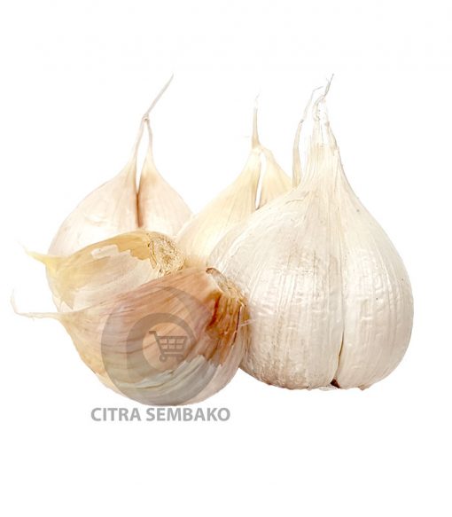 Bawang Putih Kating /Kiloan - Image 2