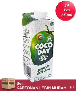 COCODAY Real Coconut Water 250ml/24"S