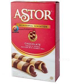 Astor Wafer Stick Double Chocolate 40gr
