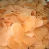 KERUPUK SARI UDANG