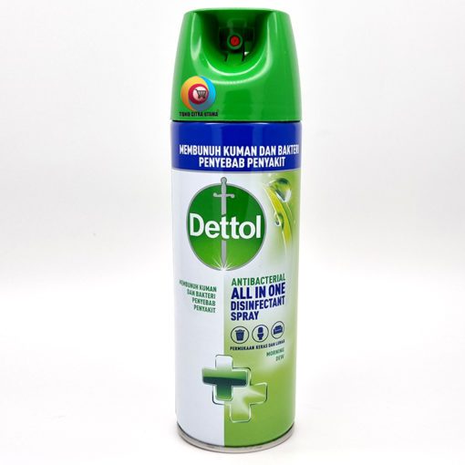 DETTOL All in One Disinfectant Spray Morning Dew 450 ml