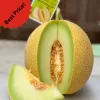 Melon Inthanon Premium / Kg