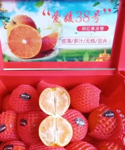 Buah Jeruk Aiyuan harga /kg