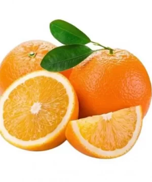 Buah Jeruk NAVEL harga /kg