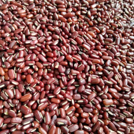 Kacang MERAH ES Merk SU 1KG