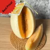 Melon Sweetnet harga /kg
