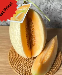 Melon Sweetnet harga /kg