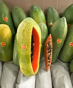 Buah Pepaya California harga /kg