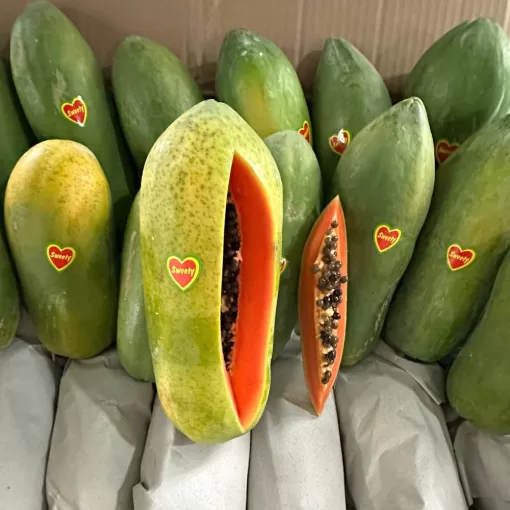 Buah Pepaya California harga /kg