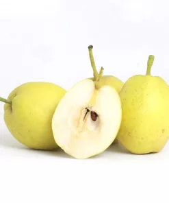 Buah Pear Xianglie harga /kg