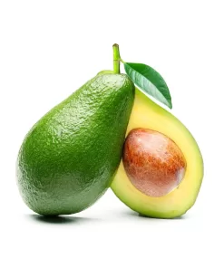 Buah Alpukat Mentega Aligator /KG