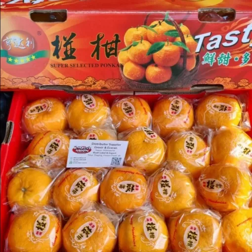 Buah Jeruk Ponkam HDL /KG