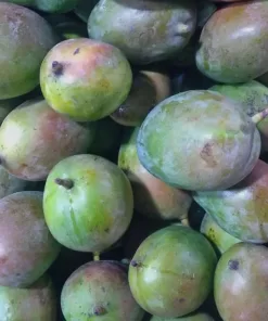 Buah Mangga Brazil