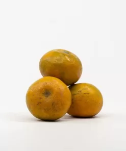 Buah Jeruk Medan/KG