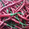 CABE KRITING /KG