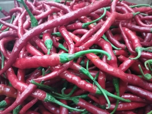CABE KRITING /KG