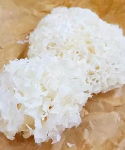 Jamur ES/Kg