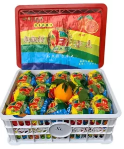 Alternative view of Buah Jeruk Dekopon Jempol