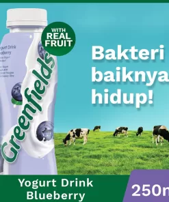 GF Yogurt Blueberry 240ml