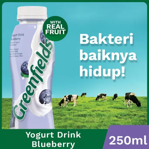 GF Yogurt Blueberry 240ml