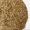 Jintan 1 kg