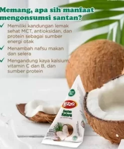 Lezza Santan Kelapa 65ml ( Beli 3 gratis mangkok cantik)
