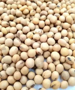 Kacang Kedelai USA Kiloan