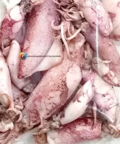 CUMI BESAR ASIN /KILOAN