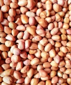 KACANG TANAH / KILOAN