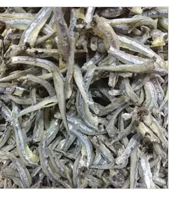 TERI MEDAN B /KILOAN