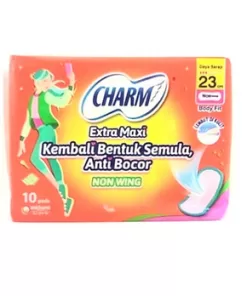 CHARM E-MAXI 10"S