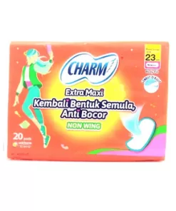 CHARM E-MAXI 20"S
