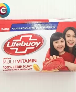 LIFEBUOY BAR Total-10 70gr