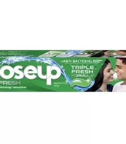 CLOSE UP Menthol Fresh 160gr