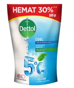 Dettol BW Cool 800ml
