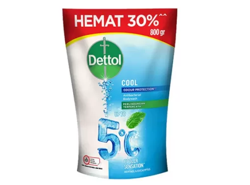 Dettol BW Cool 800ml