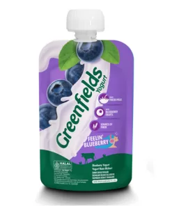 GF Yogurt POUCH B.Berry 110gr